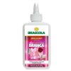BRASCOART ARTESANÍA CON PEGAMENTO BLANCO - Imagen 2